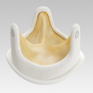 Biologische Klappe Biologische Klappe